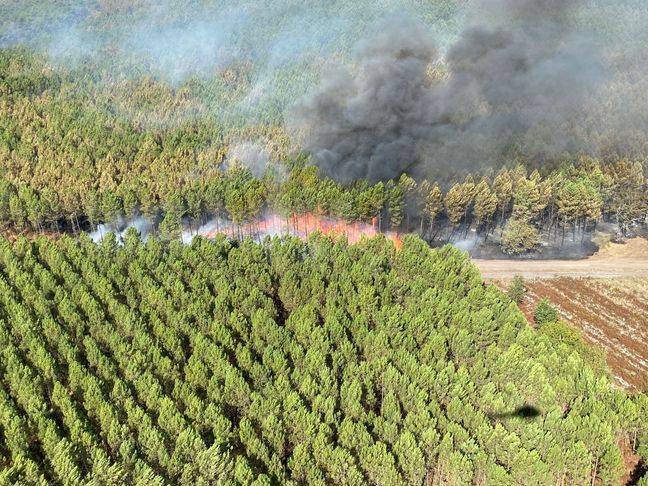 L'incendie à Saumos en Gironde a détruit 3.600 hectares de forêt.