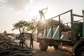 Workers offload a truck full of wood bought under suspicious circumstances in Burkina Faso. 