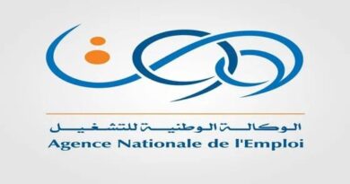 Allocation chômage en Algérie : l’ANEM met à jour sa plateforme numérique