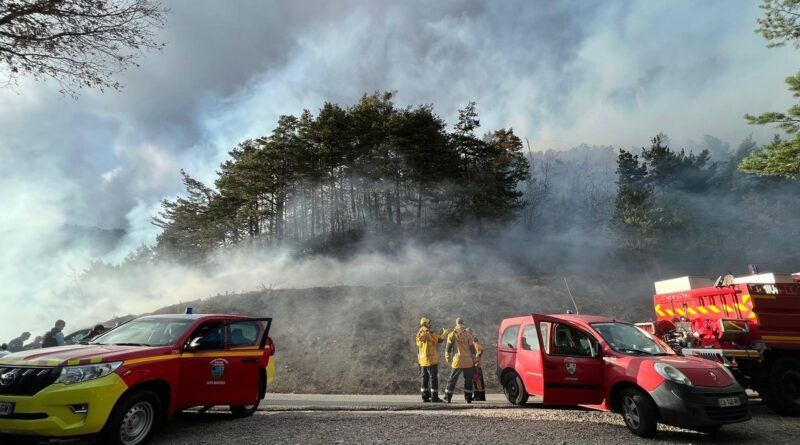 Alpes-Maritimes : Les pompiers (déjà) sur le front pour venir à bout de huit feux de forêt en un week-end