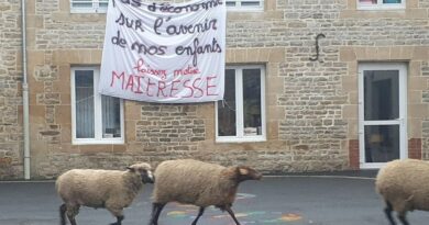 Ardennes : Des moutons dans une cour d’école pour alerter sur la fermeture d’une classe