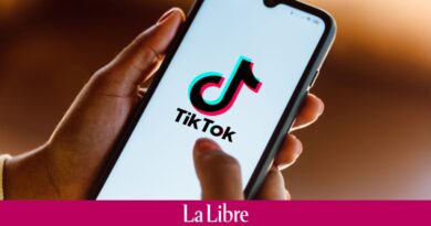 Au tour de la Nouvelle-Zélande de bannir TikTok des appareils des députés