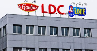 Côtes-d’Armor : L’abattoir LDC jugé pour la mort d’un intérimaire écrasé sous des volailles