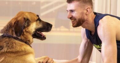 Discriminations : Easyjet refuse le chien d’un champion d’athlétisme non-voyant
