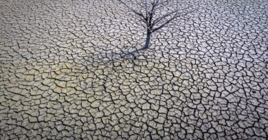 Environnement : « Nous avons brisé le cycle de l’eau, détruit les écosystèmes et contaminé les eaux souterraines »