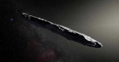 Espace : Des scientifiques proposent une explication à l’objet interstellaire Oumuamua