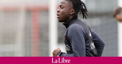 Formé en Belgique, explosion aux Pays-Bas, PSG et Côte d'Ivoire : qui est Johan Bakayoko, la nouvelle pépite du football belge ?