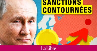 Guerre en Ukraine : la Russie utilise trois pays pour contourner les sanctions occidentales