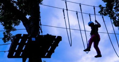 Hérault : Une femme chute de plusieurs mètres sur un parcours d’accrobranche