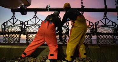 « La coupe est pleine », préviennent les pêcheurs qui appellent à deux journées mortes dans les ports