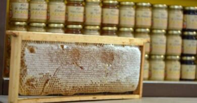 La moitié des miels importés dans l’Union européenne seraient en fait « frelatés »