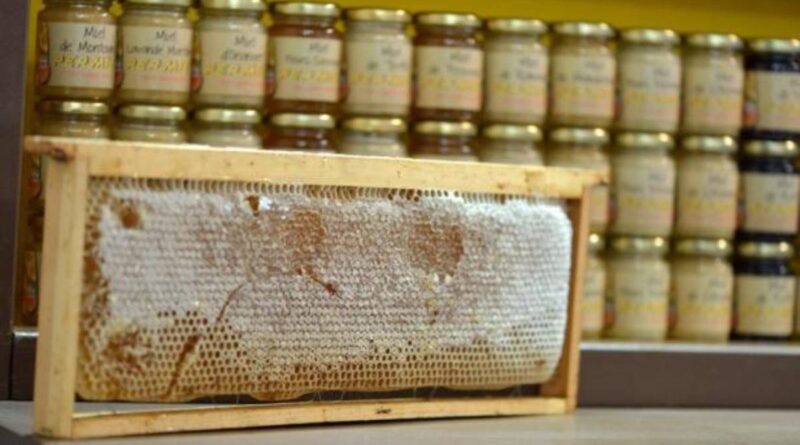 La moitié des miels importés dans l’Union européenne seraient en fait « frelatés »