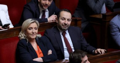 La réforme des retraites, du « pain béni » pour Marine Le Pen ?