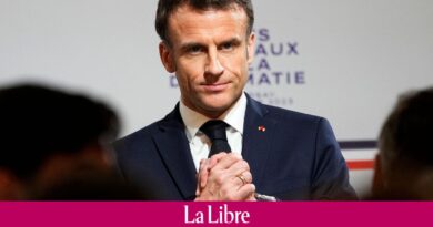 Macron souhaite que la réforme des retraites "puisse aller au bout de son cheminement démocratique"