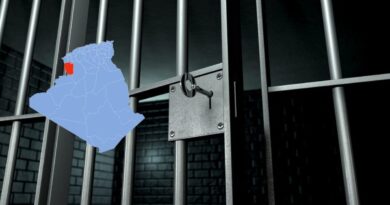 Naâma : accusée de charlatanisme, une quadragénaire arrêtée à Méchéria