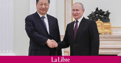 Priorité, invitation...: ce qu'il faut retenir des déclarations de Xi Jinping en Russie