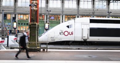 Réforme des retraites : Le trafic SNCF s’améliorera lundi, mais restera « perturbé »