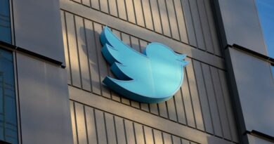 Réseaux sociaux : Twitter définitivement condamné à détailler ses moyens de lutte contre la haine en ligne