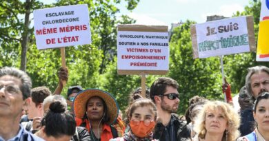 Scandale du chlordécone : L’Assemblée de Martinique vote une proposition de loi sur le pesticide