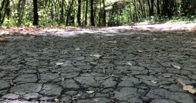Sécheresse dans les Pyrénées-Orientales : Seize communes menacées de ruptures d’eau potable