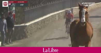 Strade Bianche: un cheval s'invite dans le final de la course dames (VIDEO)
