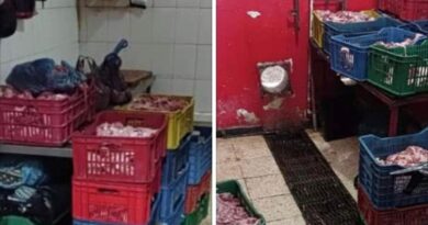 Alger : importante quantité de viande avariée saisie, un individu en détention provisoire