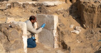 Archéologie : Quand des fouilles en Egypte permettent de résoudre un mystère à Amiens