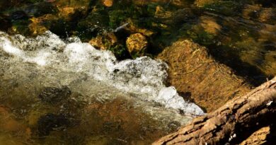 Aveyron : Pollution à la mélasse dans un petit cours d’eau, 25 tonnes déversées par erreur