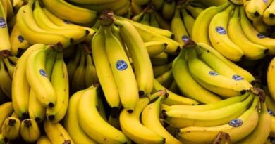 Baisse de prix de la banane en Algérie : le ministre prend des mesures