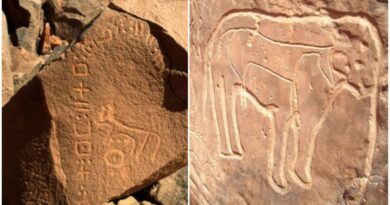 Béchar : inscriptions en tifinagh datant de 3000 ans découvertes