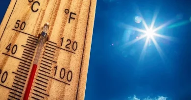 Canicule en Algérie : hausse des températures ces jours-ci