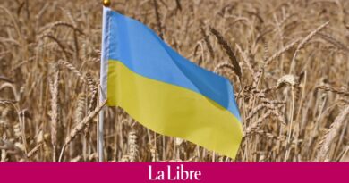 Céréales ukrainiennes : Kiev dénonce auprès de la Pologne des restrictions “inacceptables”