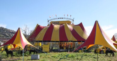 Cirque Zavatta : Les circassiens devront quitter Antibes avant dimanche, somme la préfecture
