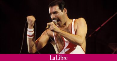 Des objets de Freddie Mercury seront bientôt vendus aux enchères