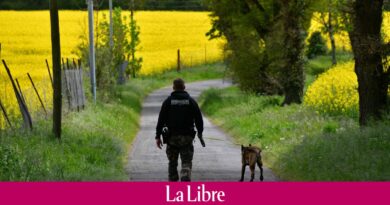 Drame dans les Vosges: une fillette de 5 ans retrouvée morte dans un sac, un adolescent de 16 ans en garde à vue