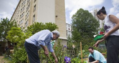 Face à l’inflation, avez-vous rejoint un jardin communautaire ? Racontez-nous !