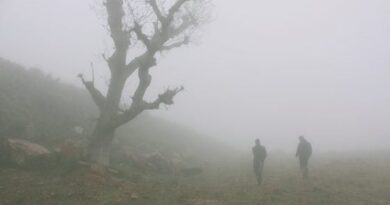 Festival de Cannes 2023 : un film kabyle sélectionné pour la Quinzaine des Cinéastes