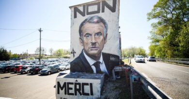 Fresque à Avignon : Quatre questions pour comprendre la polémique sur Lekto