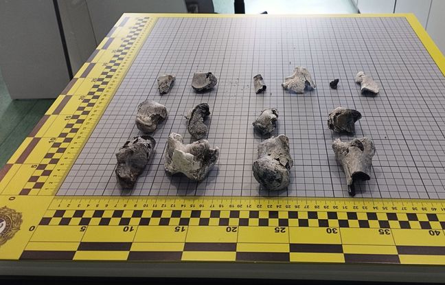 Les fragments osseux d'une victime en cours d'identification dans le laboratoire de Kiev.