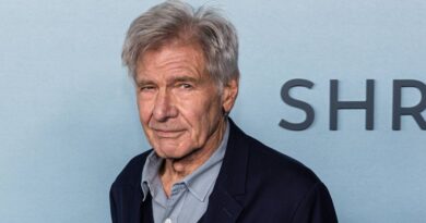 Harrison Ford confirme qu’il ne sera plus jamais Indiana Jones
