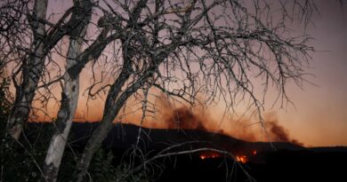 Hérault : Le préfet interdit l’emploi du feu pendant un mois en raison de la sécheresse