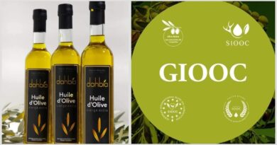 Huile d’olive algérienne : nouvelle distinction pour la marque « Dahbia » en Norvège