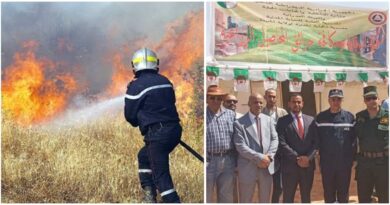 Incendies des récoltes en Algérie : la DGPC lance une campagne de sensibilisation dans le sud