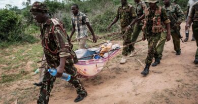 Kenya : Vingt-six nouveaux corps de fidèles présumés d’une secte exhumés dans une forêt