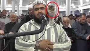 Le chat et l’imam
