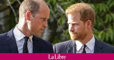 "L'institution était incroyablement nerveuse à ce sujet" : le prince William a conclu un accord avec un tabloïd, selon son frère Harry