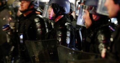 Lyon : Sept membres de l’ultradroite interpellés à l’issue d’une bagarre sur fond de concert annulé