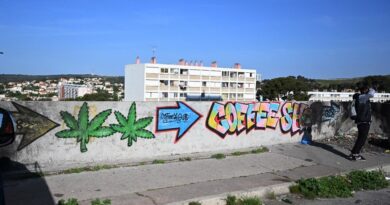 Marseille : Les quartiers nord s’invitent au Parlement pour alerter sur la violence liée aux trafics de drogue