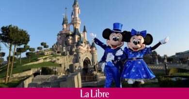 Non, vous n'irez pas à Disneyland pour moins de deux euros : attention à l'arnaque qui circule sur Facebook !