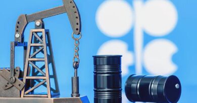OPEP+ : les raisons de la réduction volontaire de production de pétrole